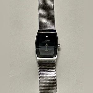 Women’s Skagen Denmark Stainless Steel Watch